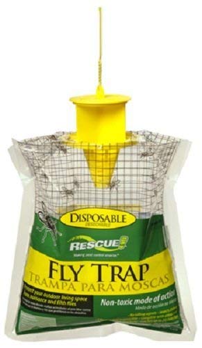 Disposable Fly Trap