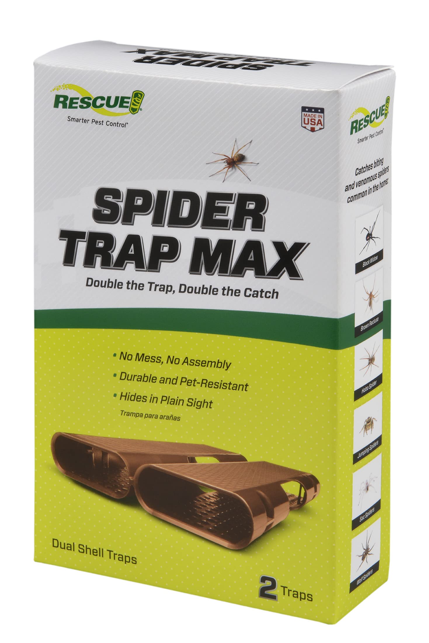 Spiders